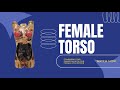 Adult Female Torso Comparison | Female Torso VS Female Volunteer | True Phantom Solutions