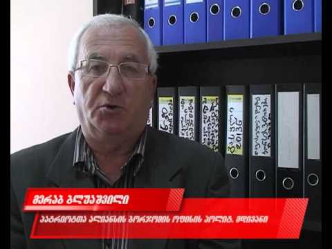 \"პატრიოტთა ალიანსმა\" ბორჯომში არჩევნებში მონაწილე კანდიდატები დაარეგისტრირა