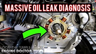 Why A New Snowblower Had A Massive OIL LEAK! - Video