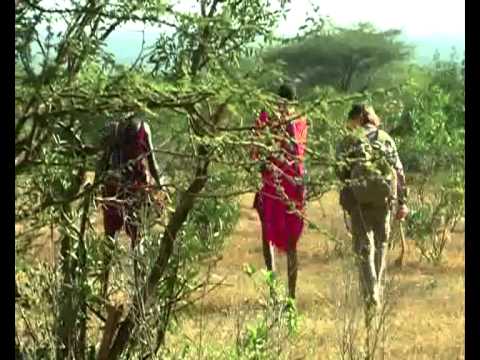 Video: Masai - jangarilik tufayli o'z an'analarini saqlab qolgan qabila