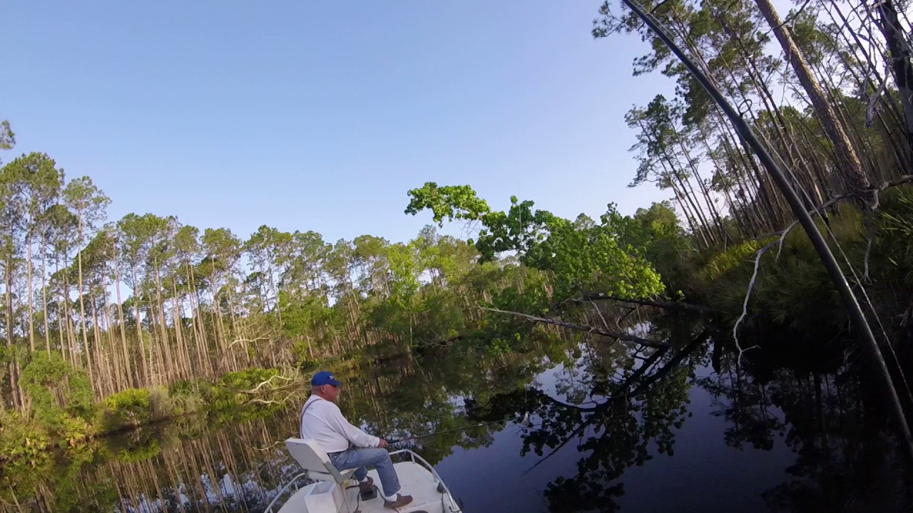 fishing on the crooked river... carrabelle florida YouTube