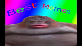 BEST MEMES and VINES COMPILATION #0