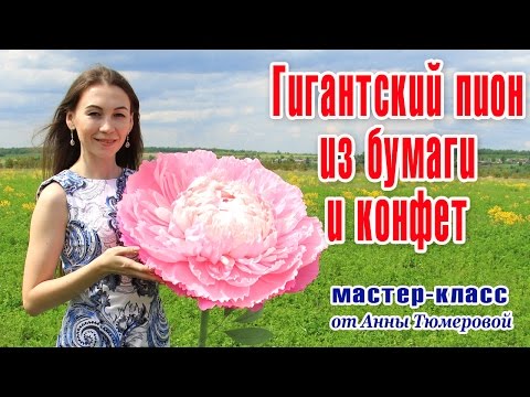 О мастер классе