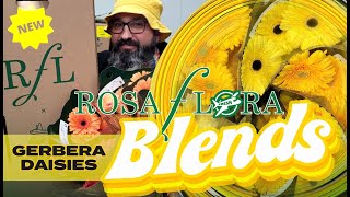 JFTV: New! Rosa Flora Gerbera Daisy Blend Mixes with Jimi the Tulip Jaguar Mix Gerbera Daisy