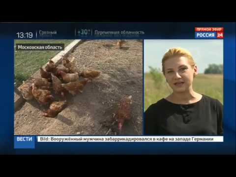Санкции. 2 года спустя. Животноводство (07.08.2016)