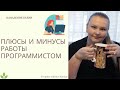 Плюсы и минусы работы программистом