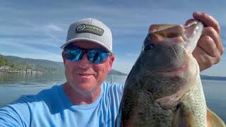 This is why you want to sign up for the Skeet Reese Big Bass Battle!