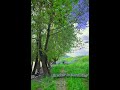 سروشتی کوردستا چەند دیمەنێکی دڵ رفێنی دەڤەری برادۆست Kurdistan Nature In 4K 