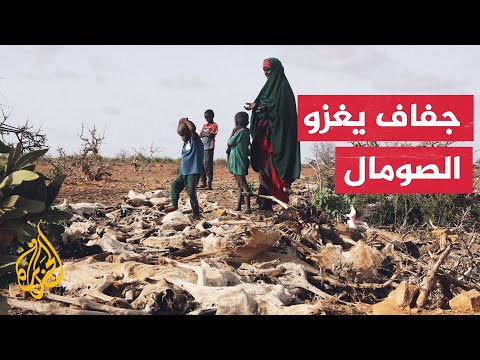 الجفاف يفاقم معاناة سكان "بيدوا" الصومالية ويجبرهم على النزوح