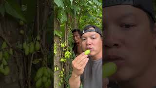 IMG 0832