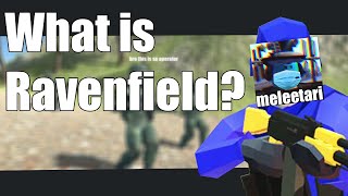 The Ravenfield experience