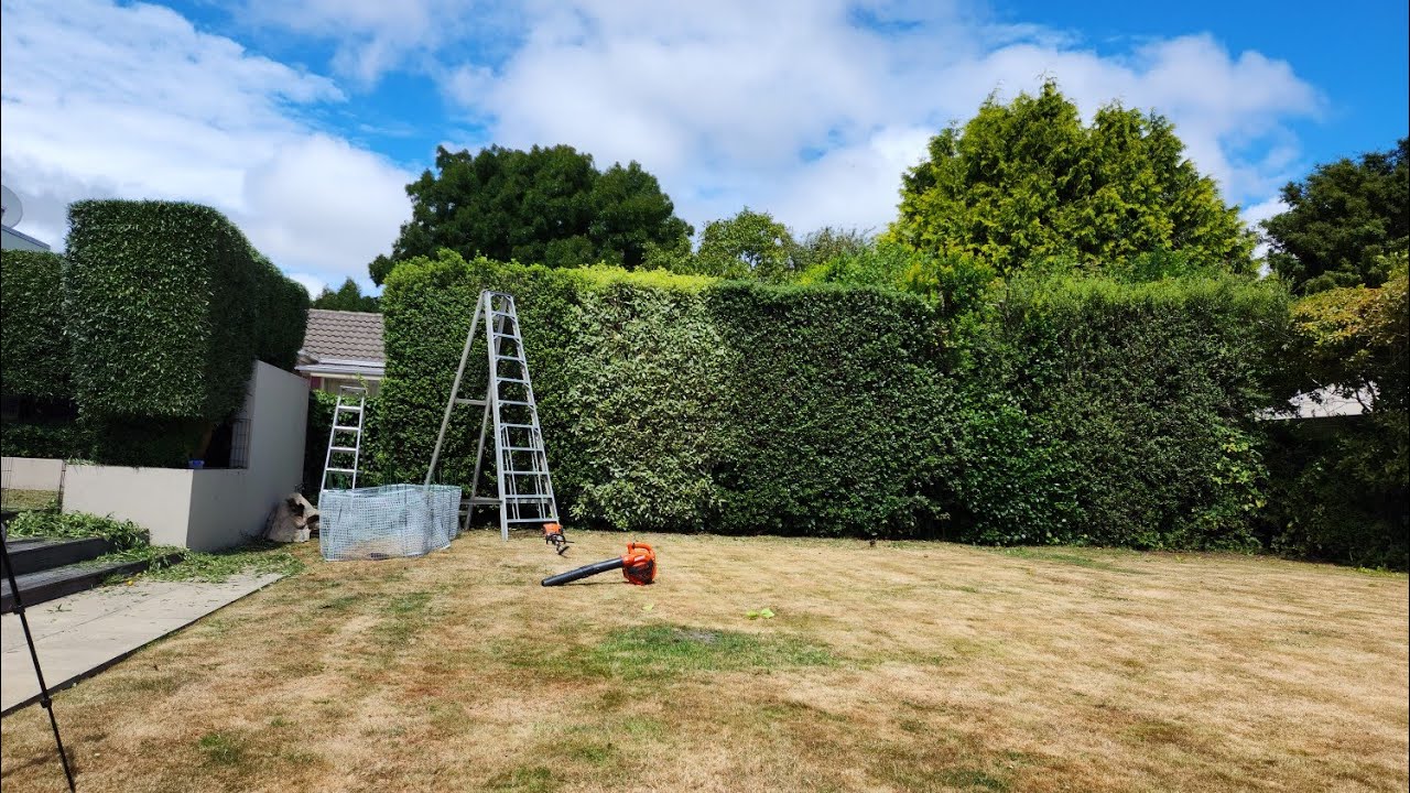 Beautiful hedge trimming videos satisfying to watch - YouTube