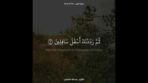 • سورة التين | القارئ : عبدالله الموسى