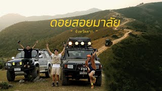 ดอยสอยมาลัย อัพเดทเส้นทาง 2024 ขึ้นยากไหม โหดระดับไหน สาย 4x4 ห้ามพลาด