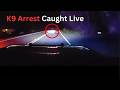 Body Camera Footage of a Traffic Stop Ended With a K 9 Arrest  Bodycam