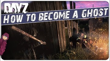 25 Things You NEED TO KNOW about Stealth in 3 minutes | DayZ