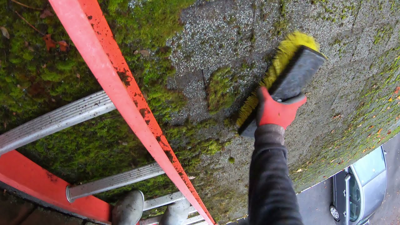 SKETCHY! Moss Removal & Shingle Wash YouTube