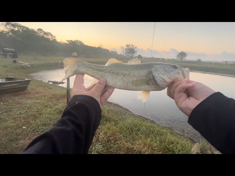Awesome early morning bass fishing!