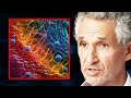 5 things that destroy your microbiome  tim spector