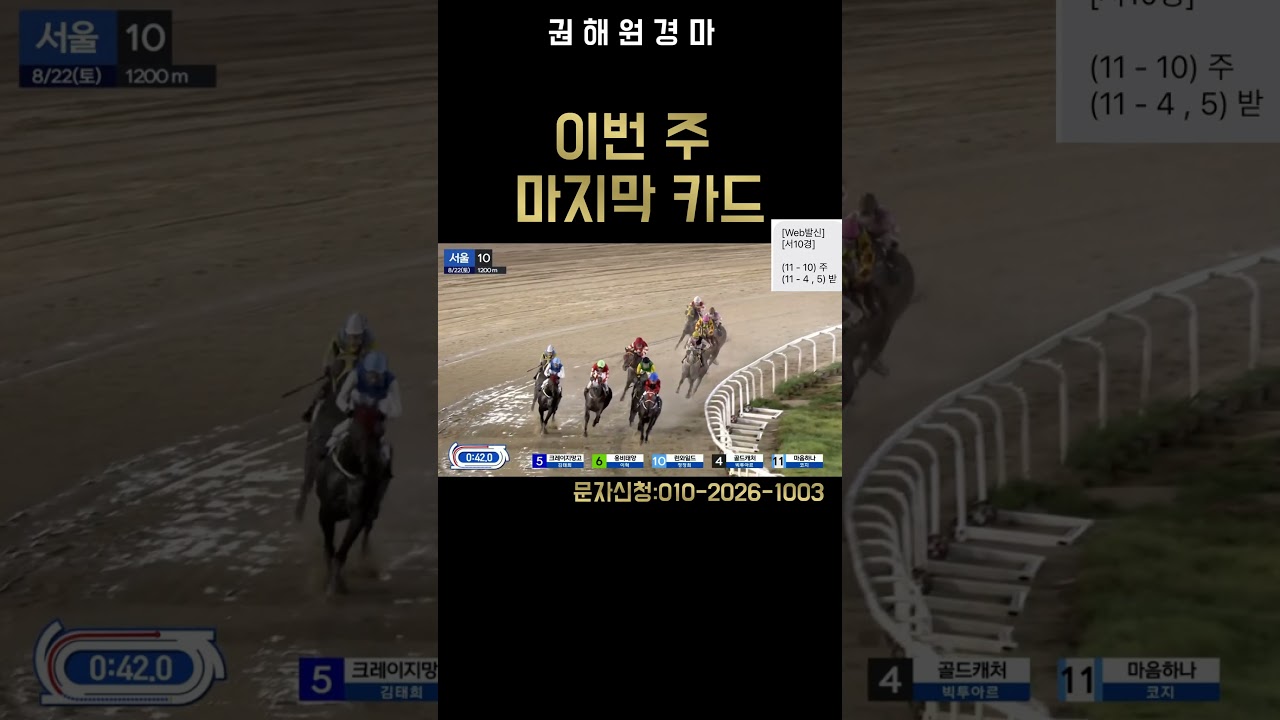 경주 히든카드🔥 적중으로 증명