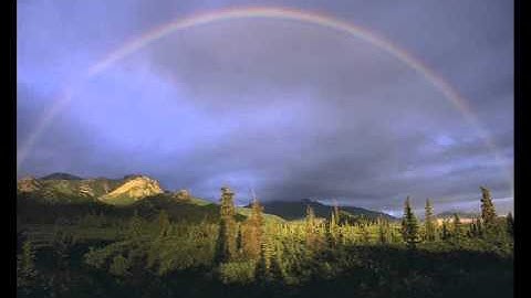 سورة هود من طيبة النشر بصوت القارئ كمال المروش