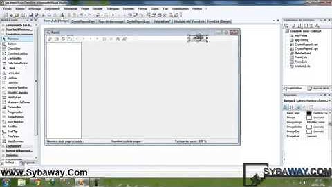 ADO NET 03   Crystal Reports Avec DataSet   Afficher 2 champs d