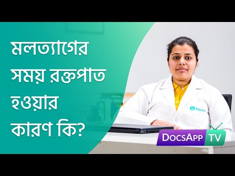 ভিডিও: একটি বিড়াল মলদ্বার থেকে রক্তপাত: কারণ এবং চিকিত্সা