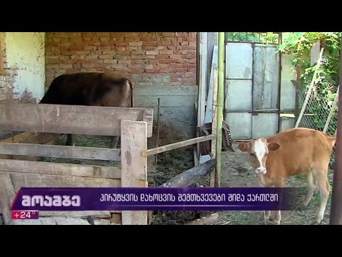 პირუტყვის დახოცვის შემთხვევები შიდა ქართლში