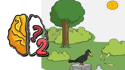 Brain Out 2 Level 29 |Help The Crow Drink Water!| Walkthrough Solutions