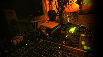 Sinus - Calathea (Live Jam)