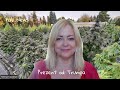Prezent od Trumpa
