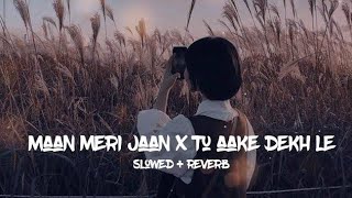 Maan Meri Jaan x Tu Aake Dekhle Slowed+Reverb| King Mashup| Latest Hit Songs@Lofisongsworldofficial