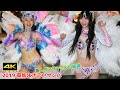 奇跡‼美人ダンサーさんの競演‼【4K】【2019草加よさこいサンバ】【sambacarnival】