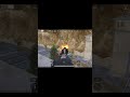 #bgmi #shortvideo #gameplay #pistolonly #tmtarock