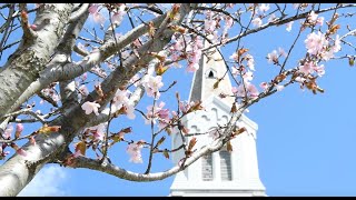 FPC 1793 Palm Sunday- April 5, 2020