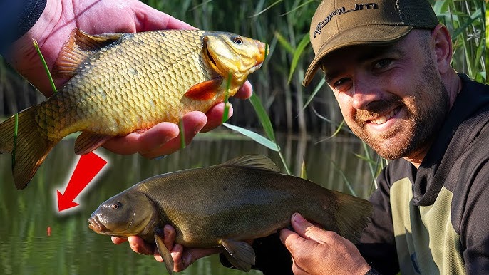 Everything You Need to Know About Float Fishing - Flylords Mag