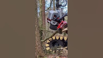 Just admiring this LogMax x Malwa set up from a recent thinning job 🌳#logmax #malwa #malwa560c