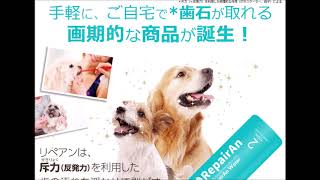 歯石が溜まりやすい犬に！歯石対策歯磨き粉　repairAn