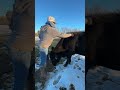 Farm Spa Day for Our Angus Mama! | Midwest Homesteading  #cow #farm #farmliving #cattlefarm