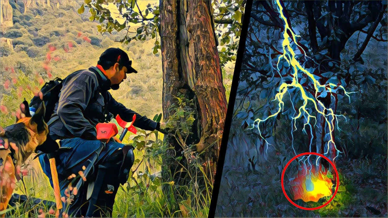 Vio Caer un RAYO en un ÁRBOL y 50 Años Después Encuentro Esto Debajo de Él