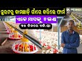      how to start ec poultry farm in odisha  ecpoultryfarm chicken