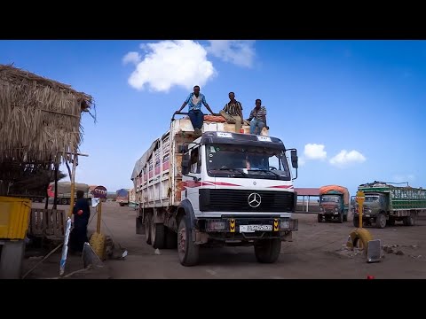 Somaliland'da bir kamyon şoförünün hayatı