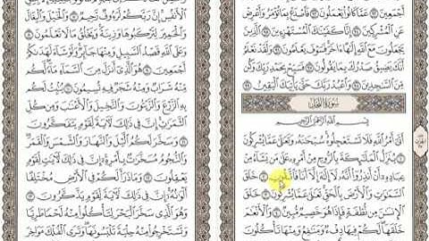 تثبيت حفظ سورة النحل واضغط على الرابط التالى