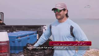 أبقار البحر في قطر  | وثائقيات تلفزيون قطر2020