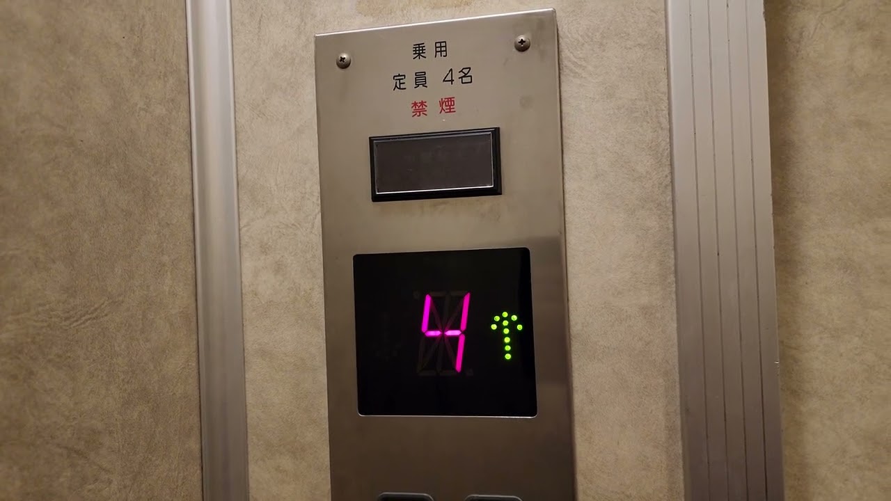 エレベーター等のヒンジ代わりに透明テープを使い作成したグライダー手渡し限定です。 エレベーター等のヒンジ代わりに透明テープを使い作成したグライダー