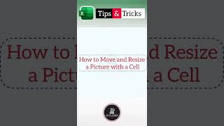 New Excel Tips &amp; Tricks | How to Move &amp; Resize a Picture with Cell in Excel | #shorts #viral #excel