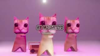 ay mi gatito miau miau Phonk (Montagem Miau)