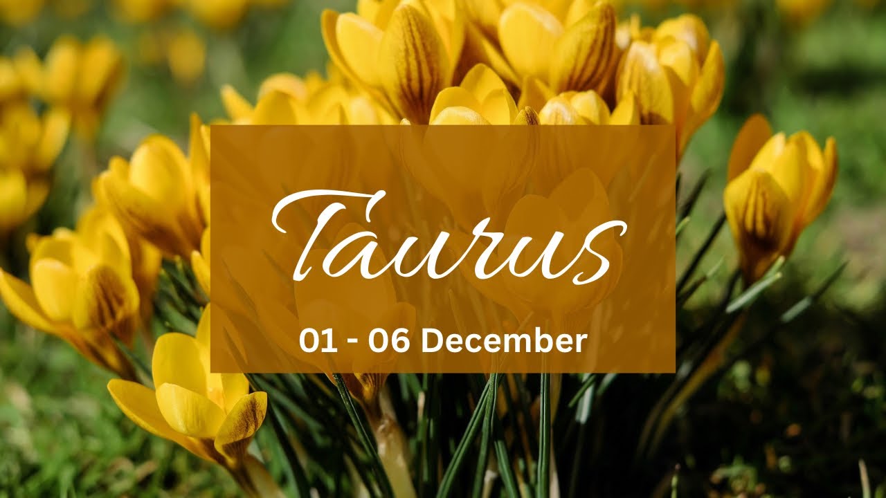 Taurus❤️The one that neglected & confused u this is why they r scared of approaching u & stalking u!