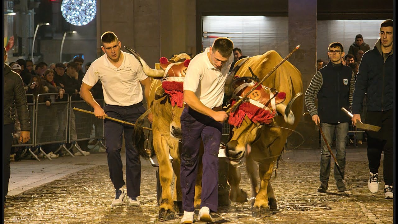 Idi Probak Santa Lutzi ferian Zumarragan - 2025