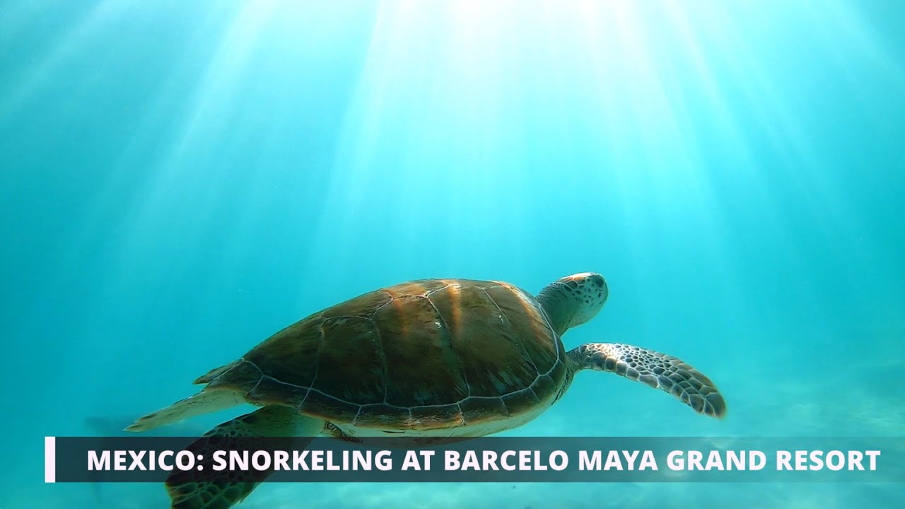 Mexico: Snorkeling at Barcelo Maya Grand Resort